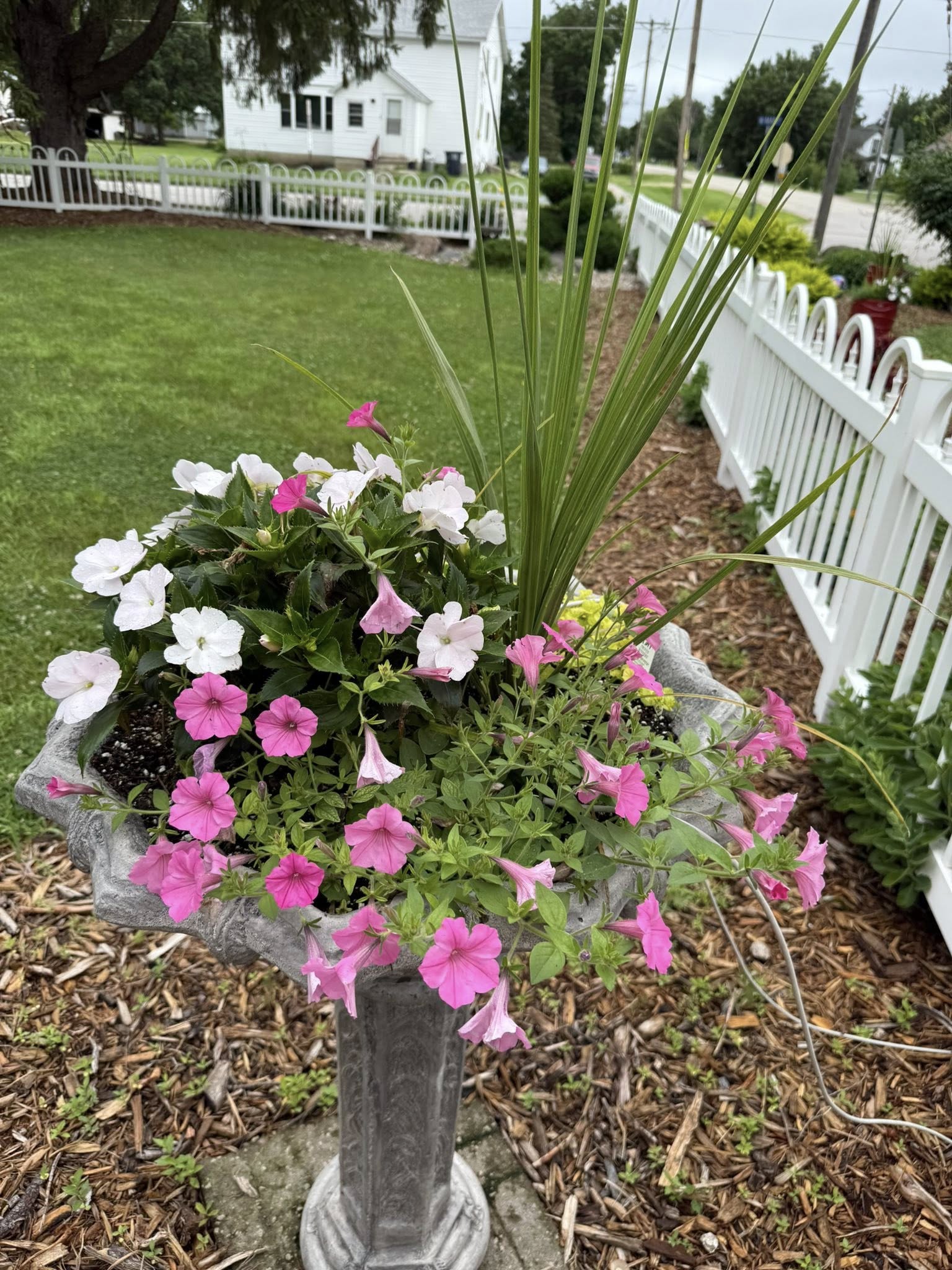 flowers